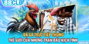 Đá Gà Trực Tiếp Thomo - Thế Giới Của Những Trận Đấu Kịch Tính