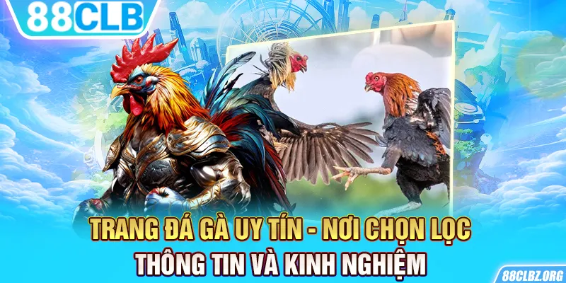 Trang Đá Gà Uy Tín - Nơi Chọn Lọc Thông Tin Và Kinh Nghiệm