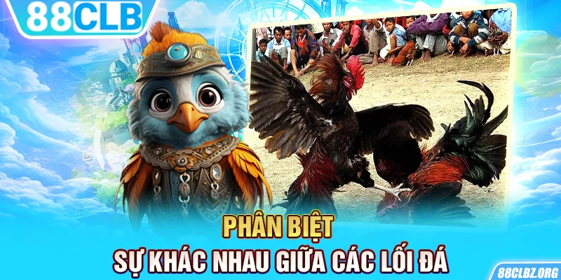 Phân biệt sự khác nhau giữa các lối đá