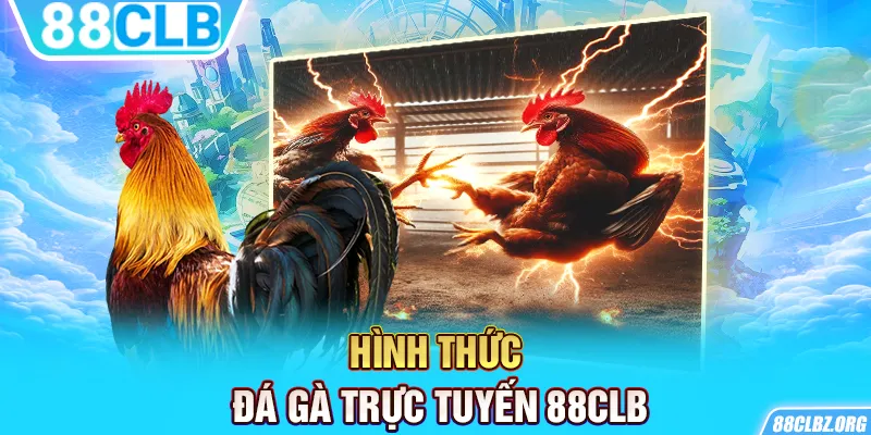 Hình thức đá gà trực tuyến 88CLB